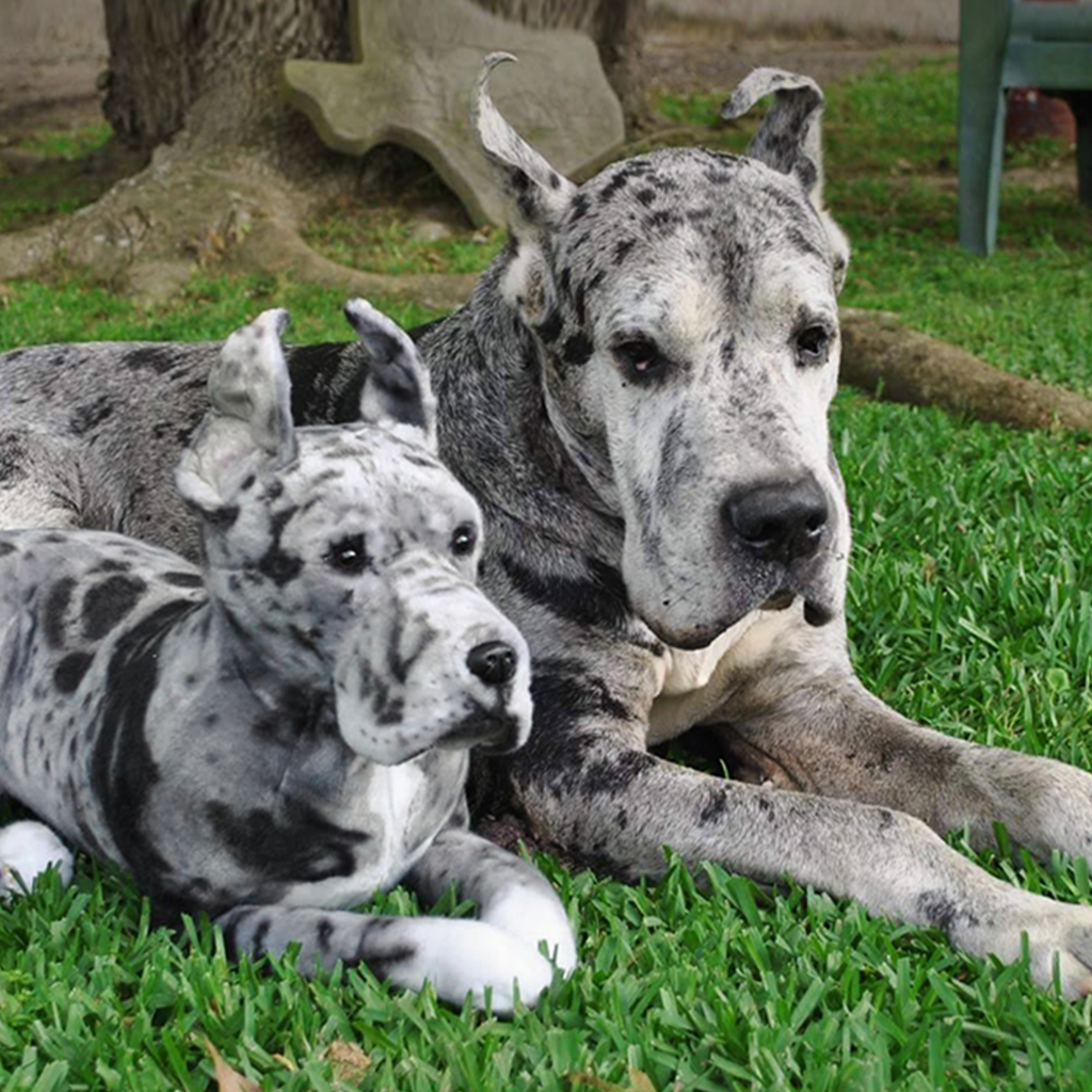 Clone original en peluche