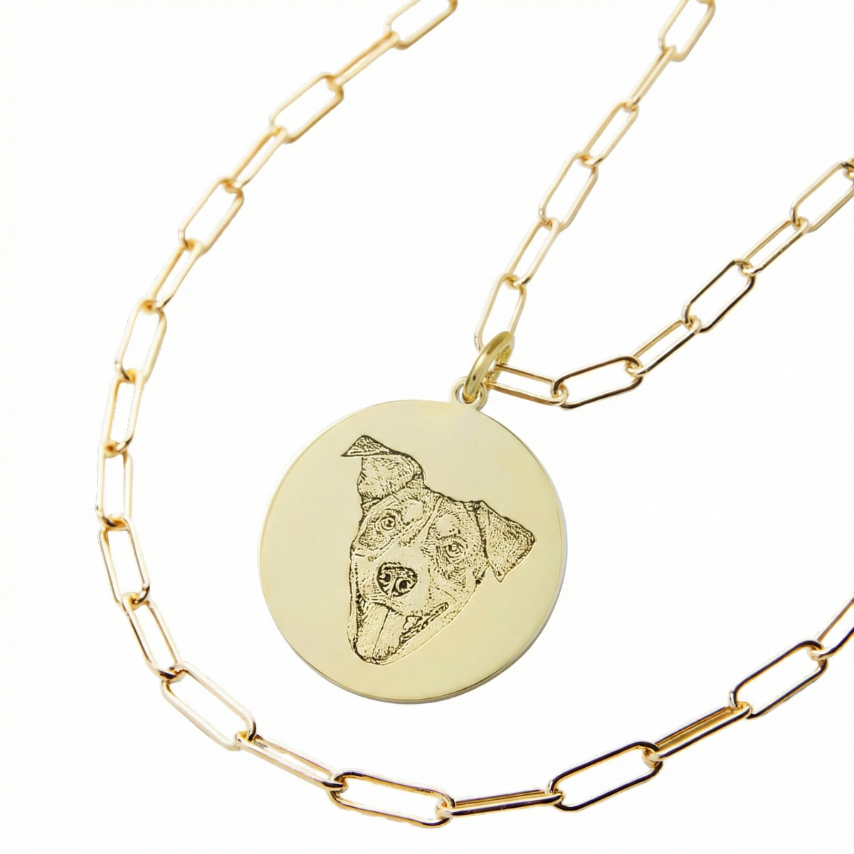 GoldPaperclipEngravedPetMedallionCharm