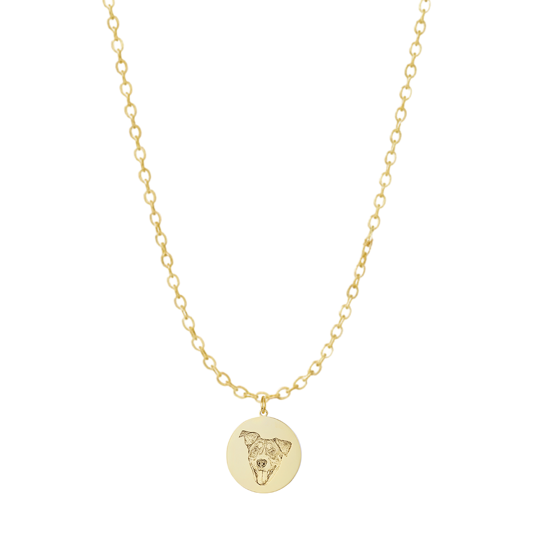 GoldDaintyEngravedPetMedallionCharm