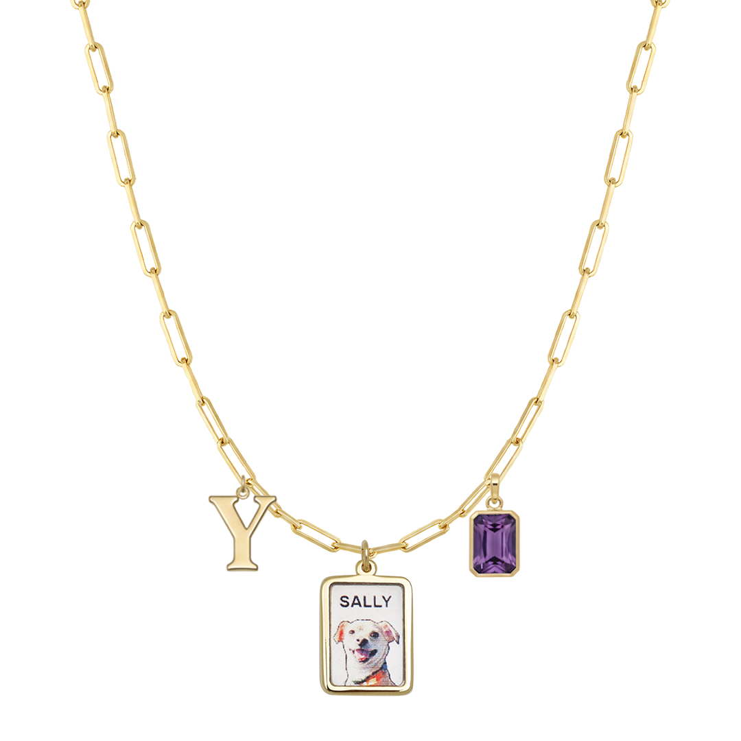 GoldPaperclipPetPortraitCharm2