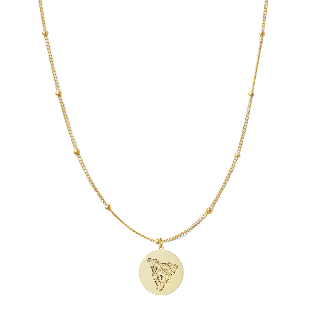 GoldSatelliteEngravedPetMedallionCharm