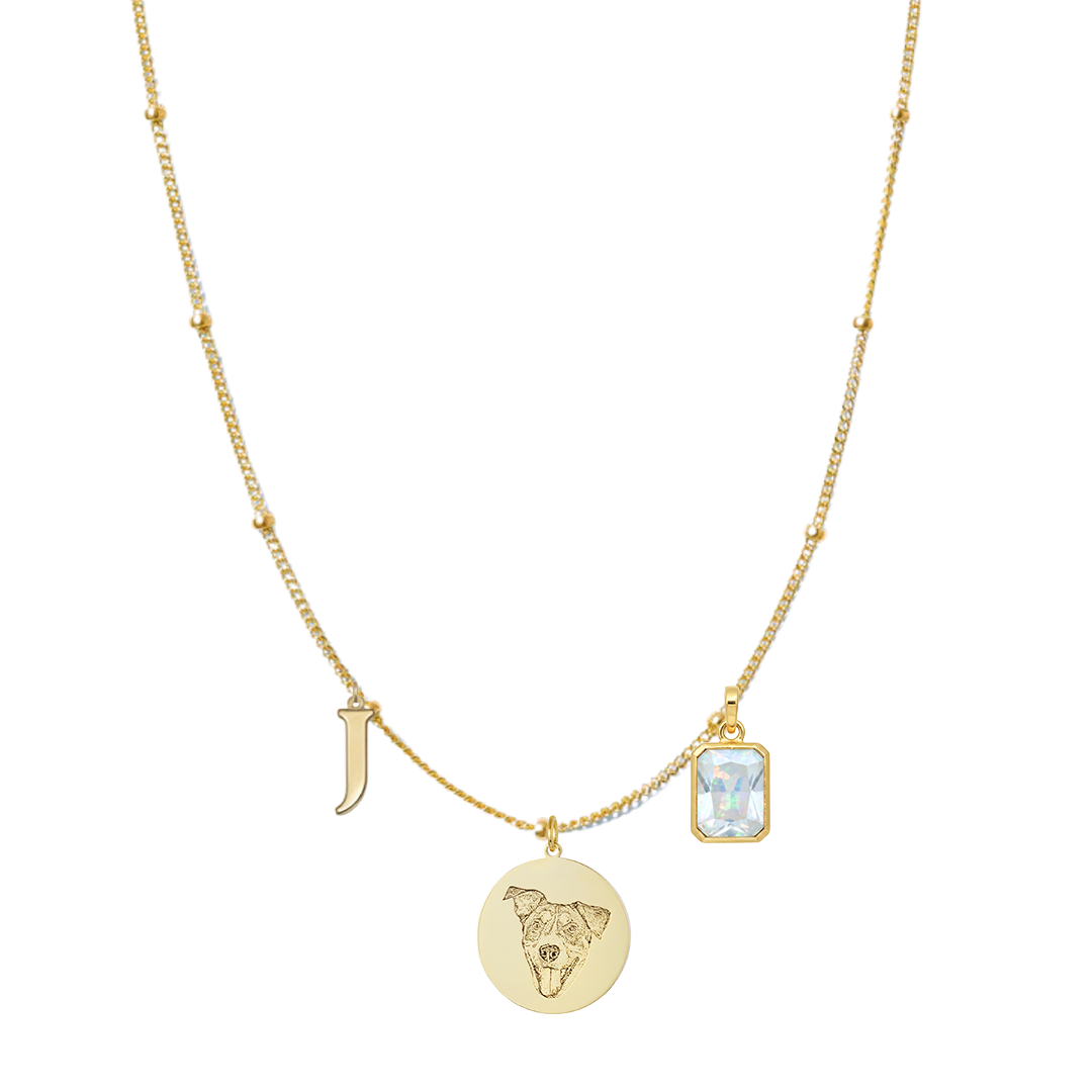 GoldSatelliteEngravedPetMedallionCharm2