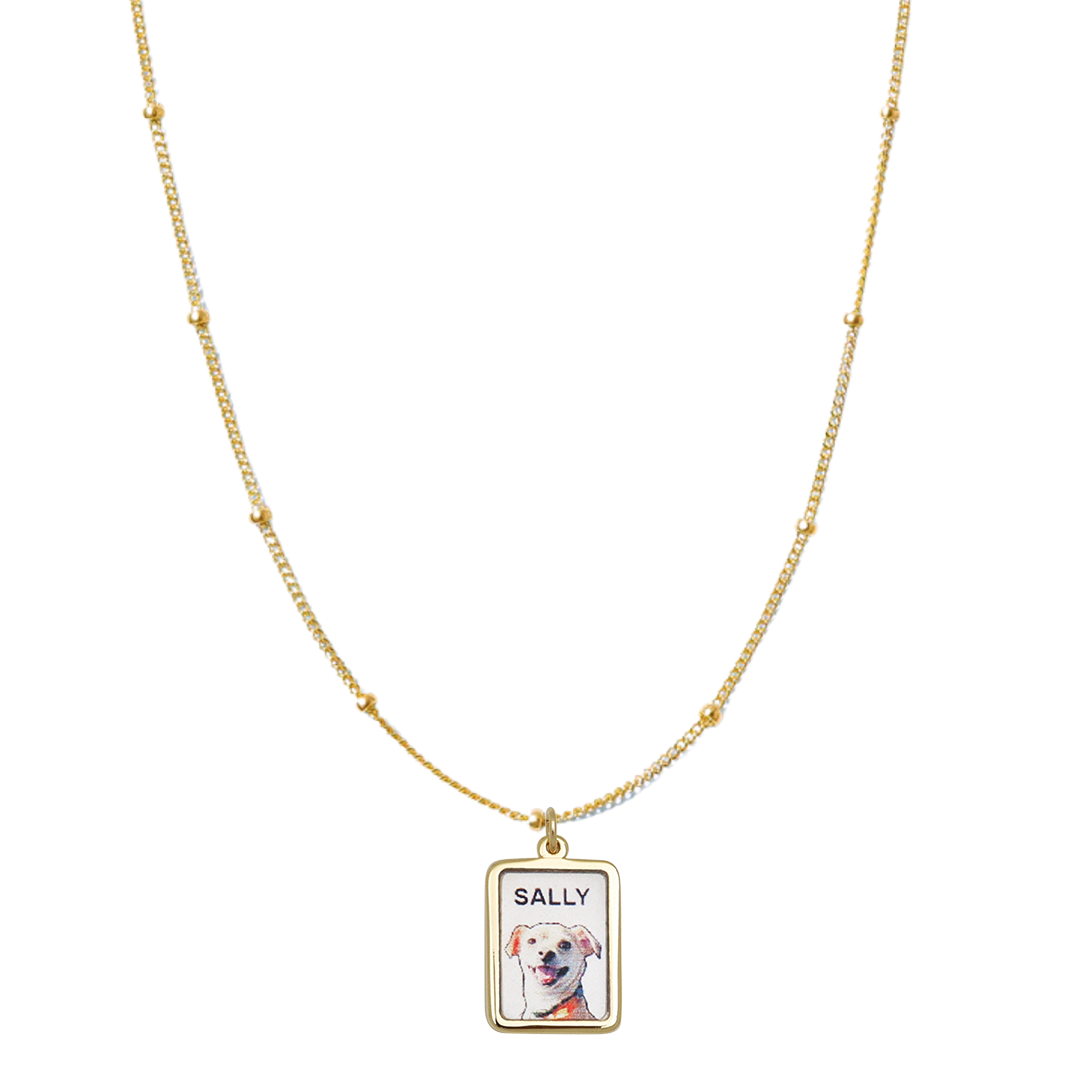 GoldSatellitePetPortraitCharm