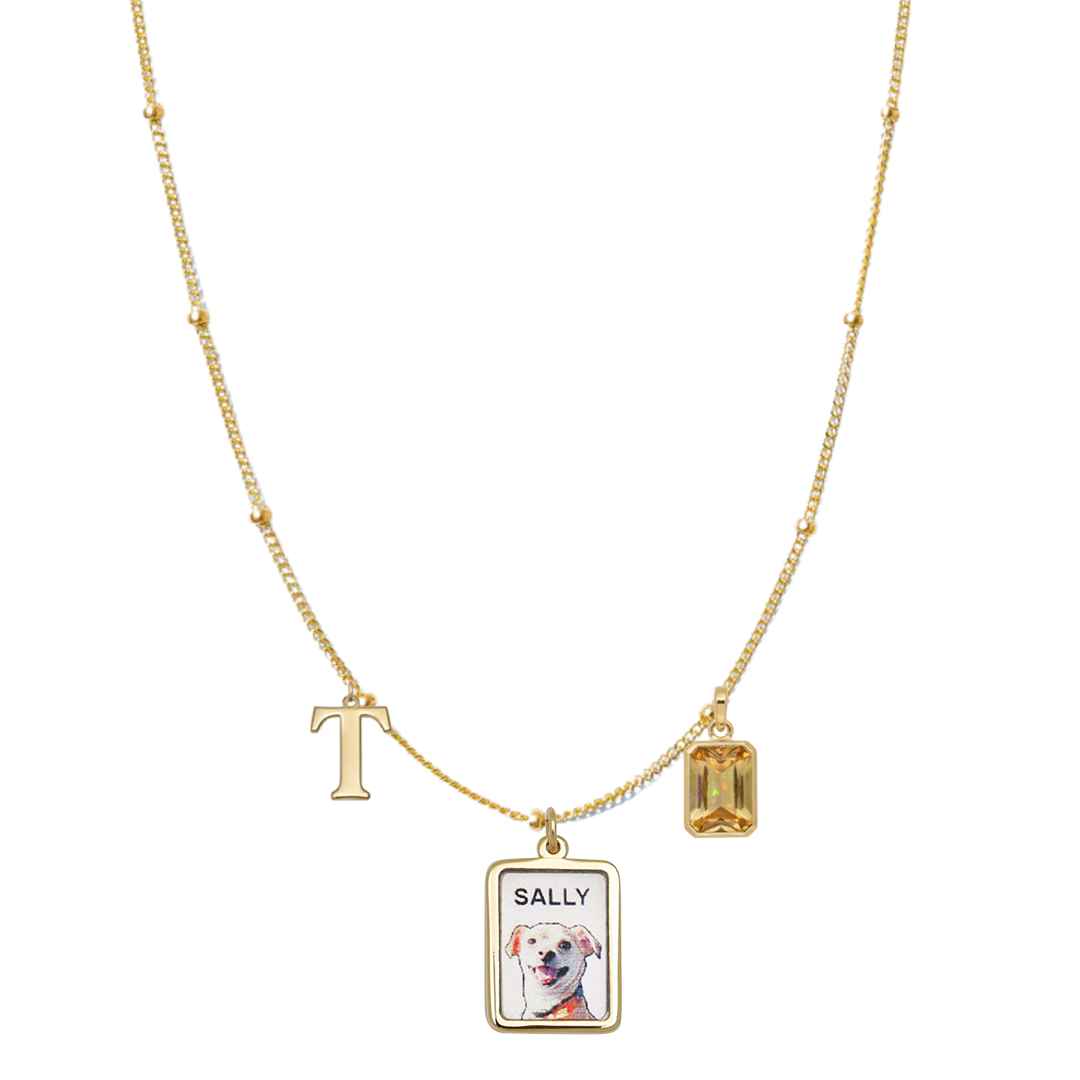 GoldSatellitePetPortraitCharm2