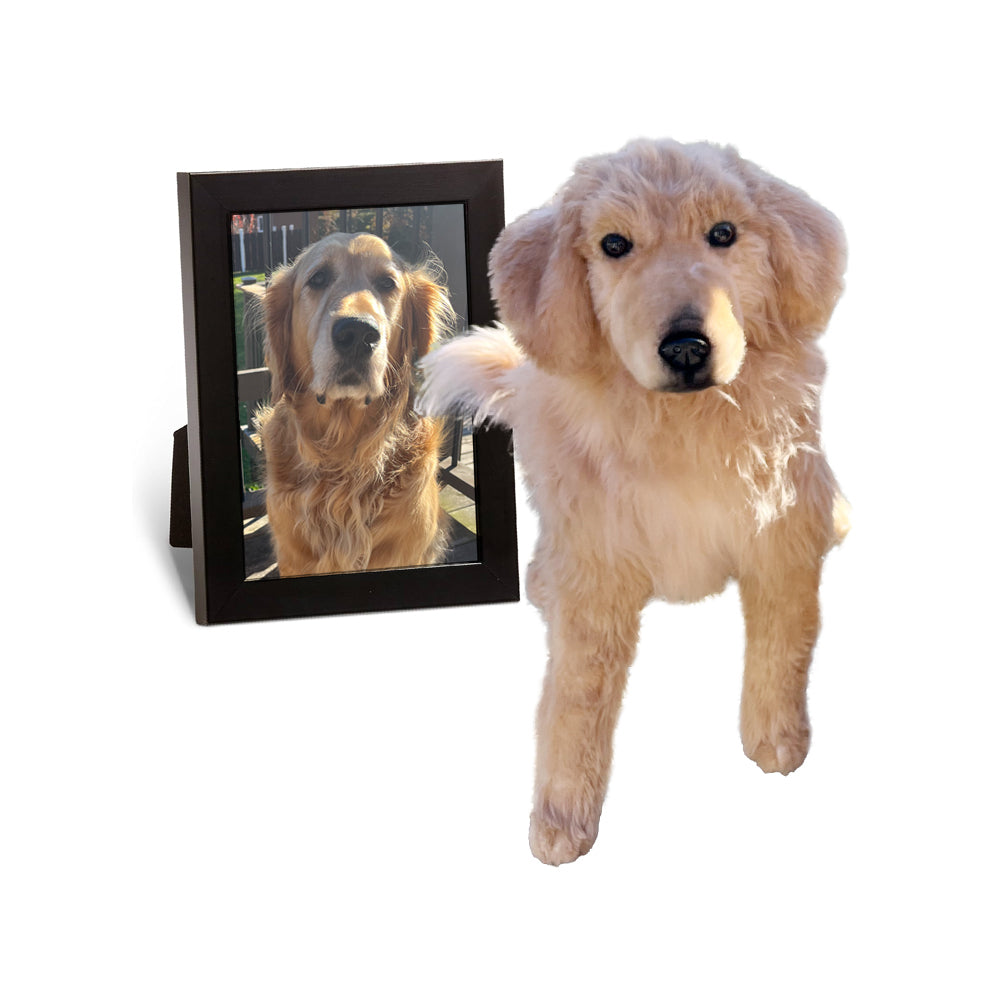 A custom plush Golden Retriever cuddle clone next to a framed photo of the original dog.