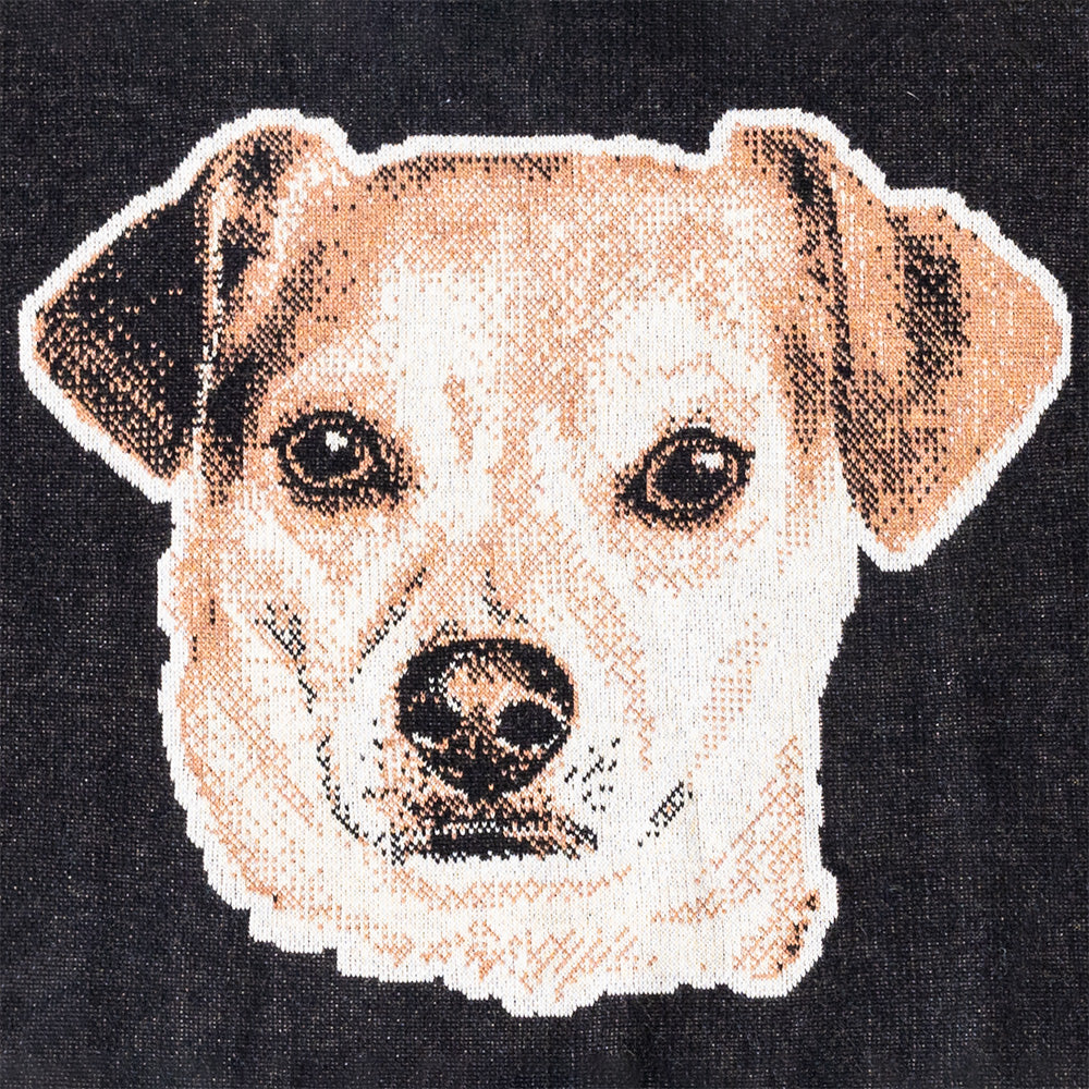 Close up of knit dog face