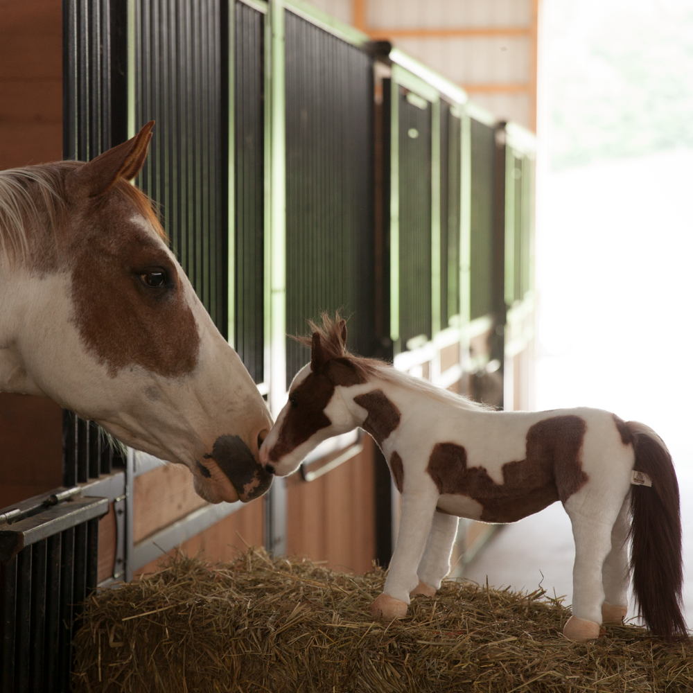 Custom American Paint Horse Plush Cuddle Clone