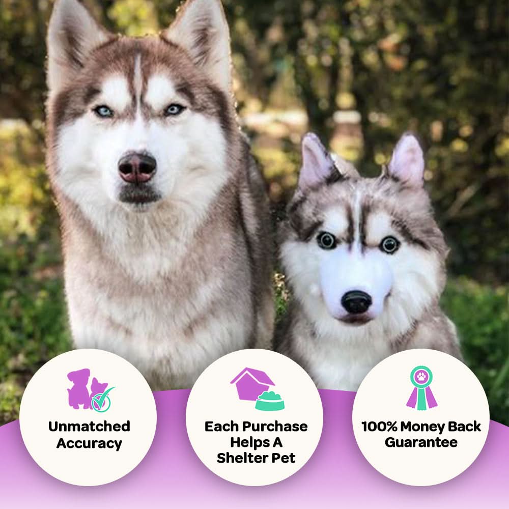 Custom Husky Plush Cuddle Clone