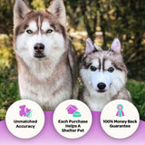 Custom Husky Plush Cuddle Clone