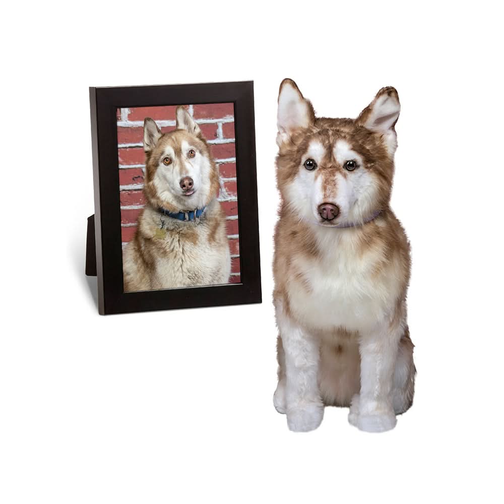 A custom plush toy resembling a husky, with a photo of the actual husky in a frame.