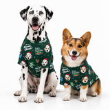 Two dogs wearing matching dark green holiday t-shirts with printed dog faces and the text 'Dad, You're My Hero!' on a white studio background.