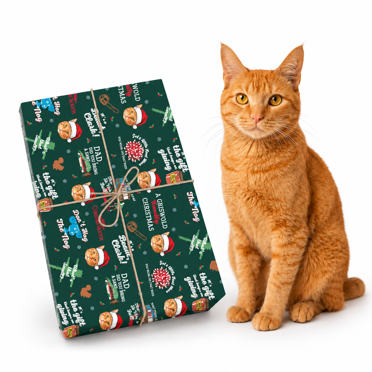 An orange tabby cat sits beside a wrapped gift box on a clean white background. The gift box is wrapped in dark green Christmas-themed paper with illustrations of jugs, stockings, trees, and phrases like 'A Christmas Carol' and 'Merry Christmas,' tied with a thin twine bow.