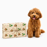 A brown curly-haired dog sits next to a wrapped gift box on a clean white background. The gift box is wrapped in cream-colored paper with a green cactus and dog pattern, tied with a simple string bow.