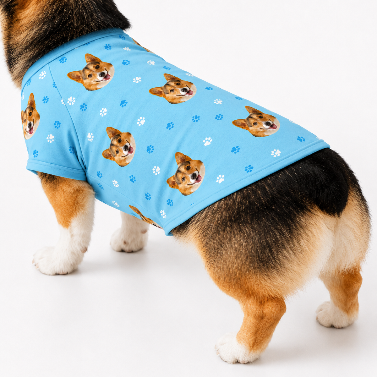 Corgi wearing a light blue custom dog shirt with paw prints and a repeating dog face pattern.