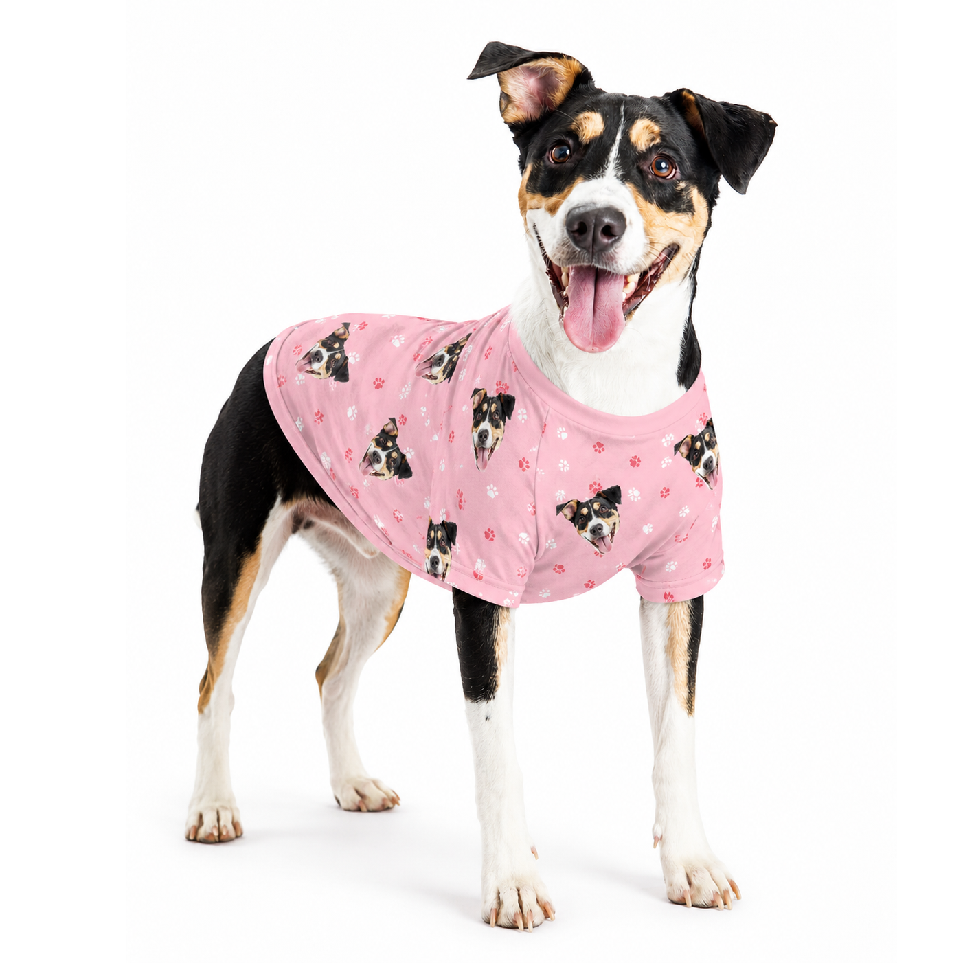Dog wearing a light pink custom dog shirt with paw prints and a repeating dog face pattern.