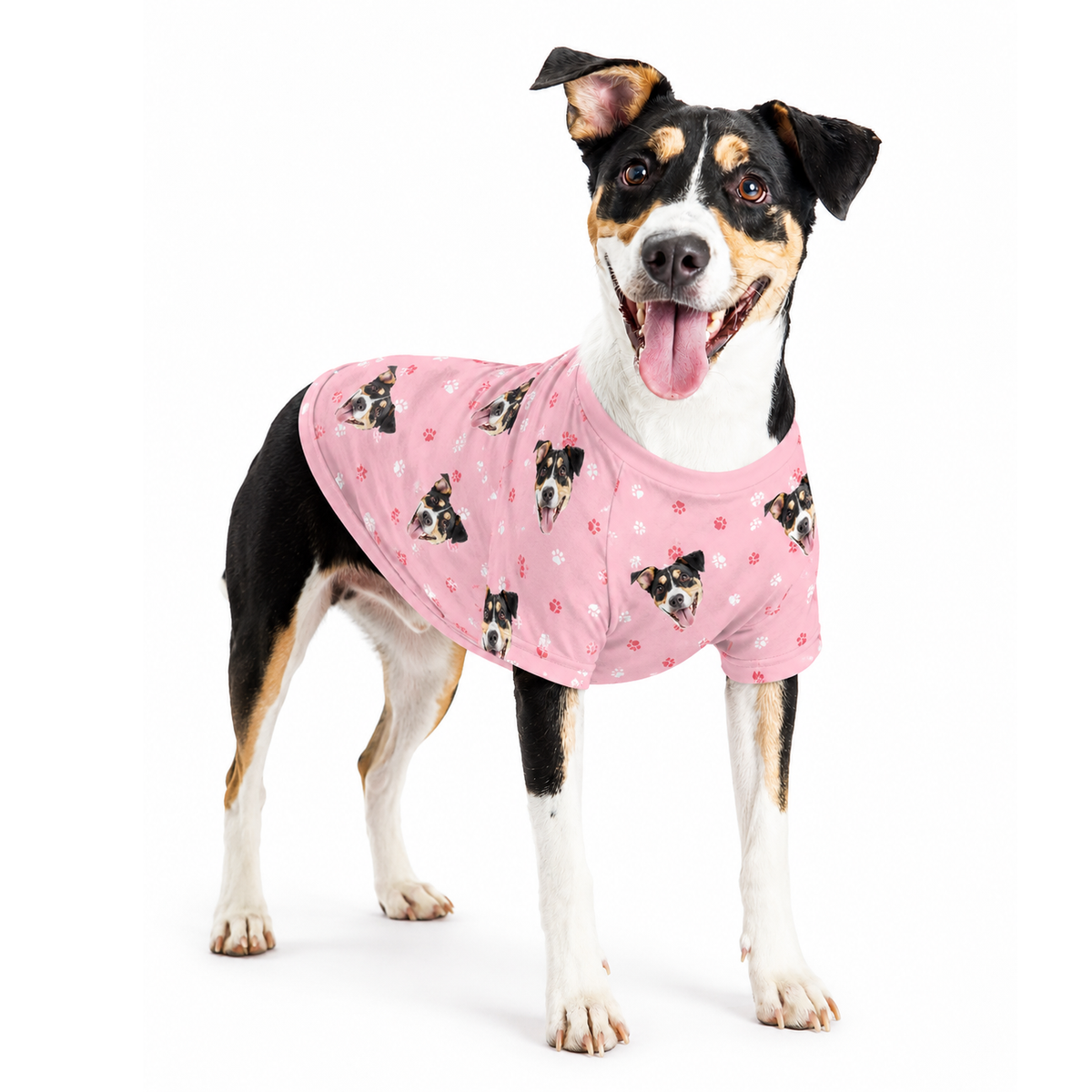 Custom Dog Pajamas