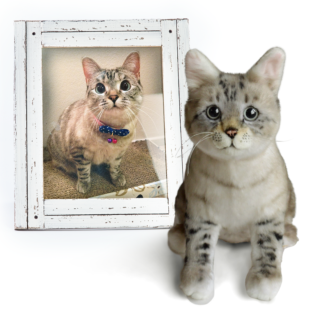 Custom Siamese/Tabby-mix Cat Plush Cuddle Clone