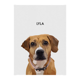 No framed 'Lyla' dog portrait on a black 12x16 canvas background.