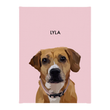 No framed 'Lyla' dog portrait on a pink 12x16 canvas background.