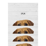 No framed 'Lyla' dog portrait on a white wood 12x16 canvas background.
