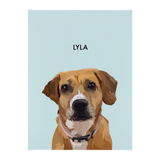 No framed 'Lyla' dog portrait on a blue 12x16 canvas background.