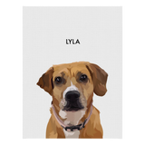 No framed 'Lyla' dog portrait on a black 18x24 canvas background.