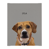 No framed 'Lyla' dog portrait on a gray 8x10 canvas background.