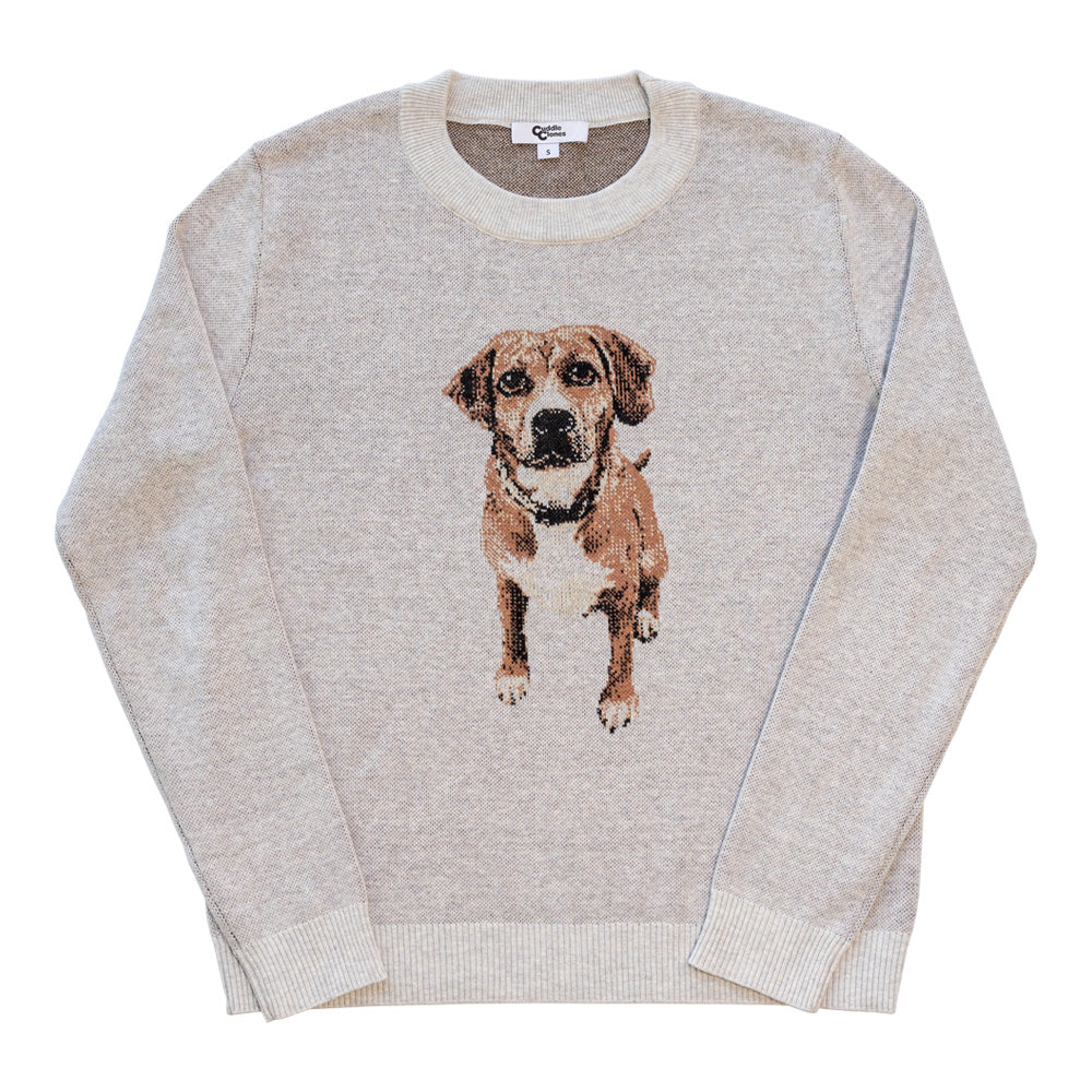 CC Orange Knitted Designer Dog Sweater