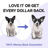 Promotional graphic with the text 'LOVE IT OR GET EVERY DOLLAR BACK.' and '100% Money Back Guarantee' showing a black-and-white dog before and after editing, with a blue arrow between the two versions.