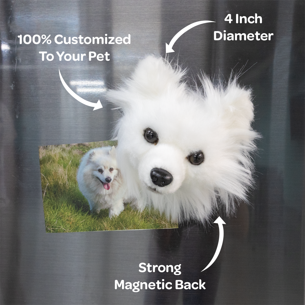 Customized Pet Magnets