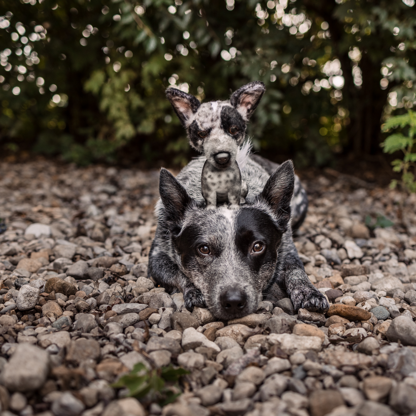 1 Pièces Perroquet Sculpture Ornements Figurine Réaliste Faite À La Main Pour Pelouse Patio