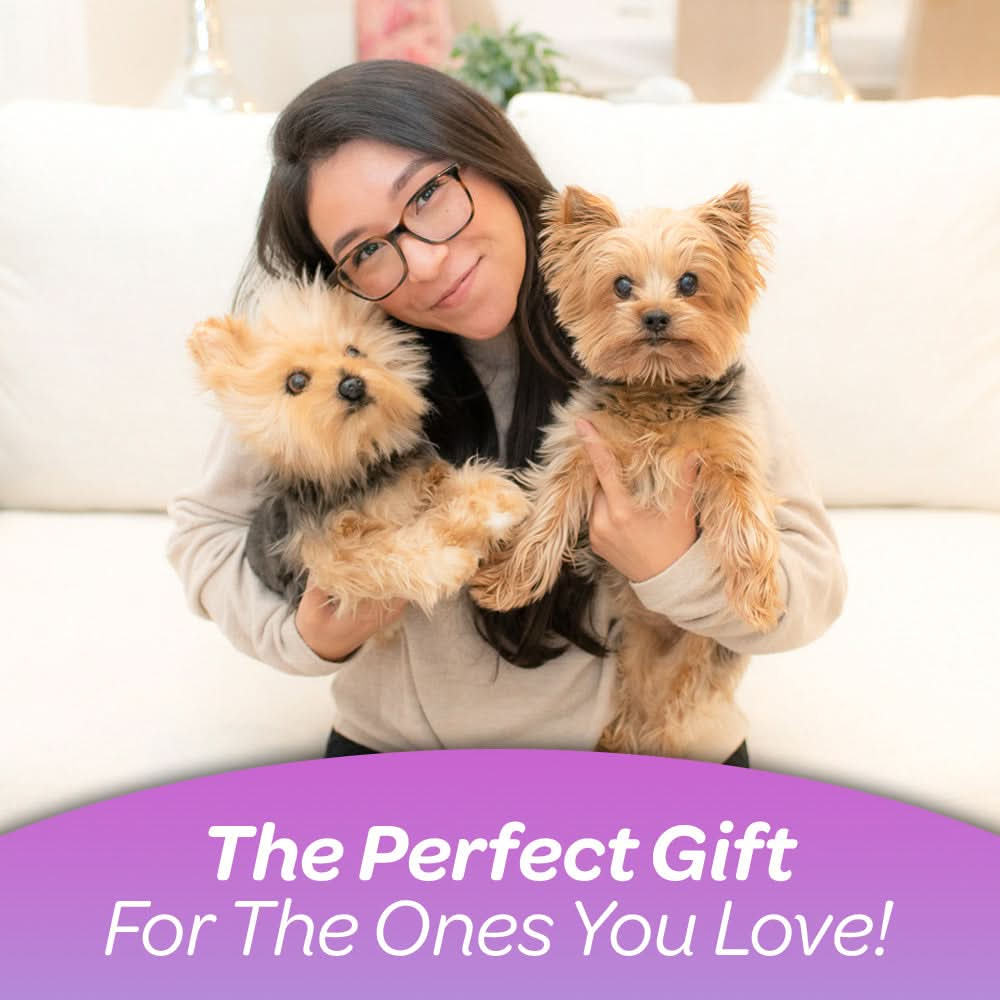 Stuffed Animal That Looks Like Your Pet Customize a High Quality Dog Plush or Plush Pets Perfect Stuffed Animals That Look Like Pets Cuddle Clones