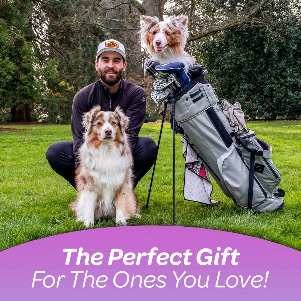 Golf club headcover featuring a dog, with a golfer and his pet dog, displayed with a golf bag. 