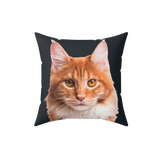 Pillow with a cat's face printed on a black background