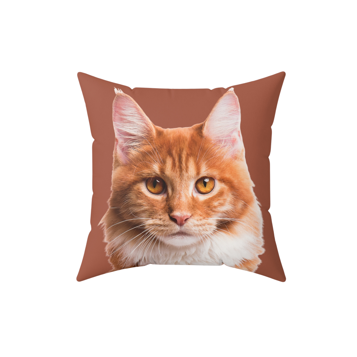Brown pillow with the face of a cat