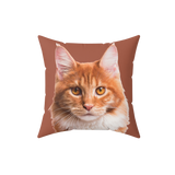 Brown pillow with the face of a cat