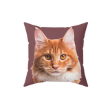 Maroon pillow with the face of a cat