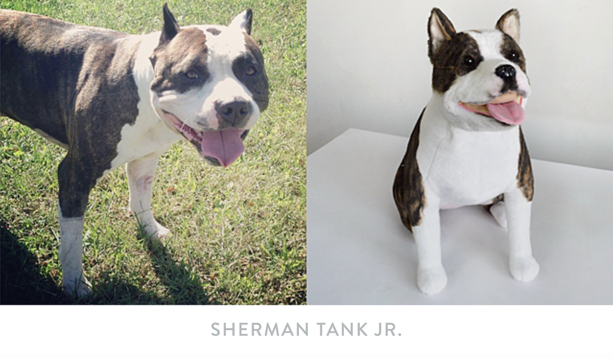 Side by side of dog Sherman Tank JR and their Cuddle Clone