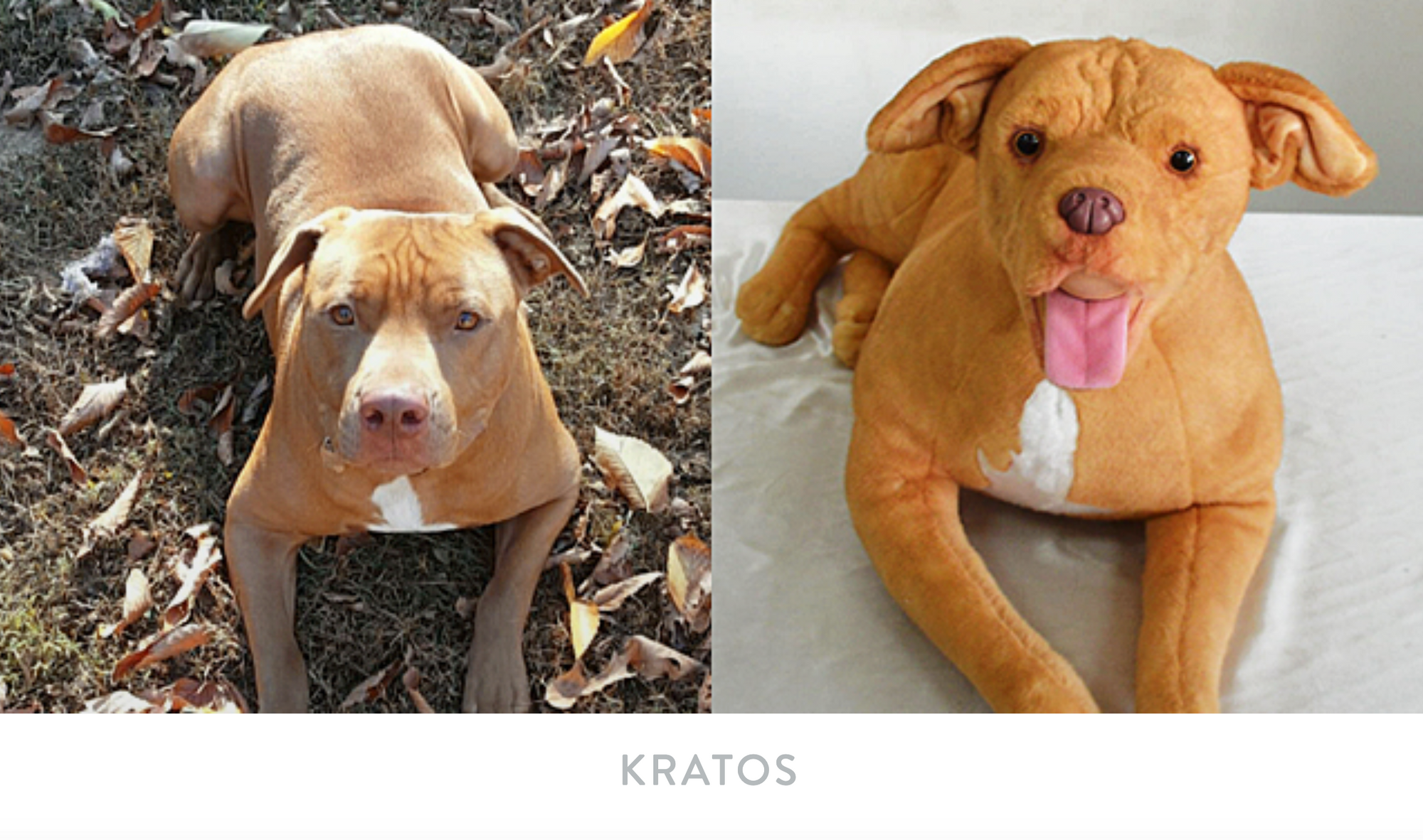 Side by side of dog Kratos and their Cuddle Clone