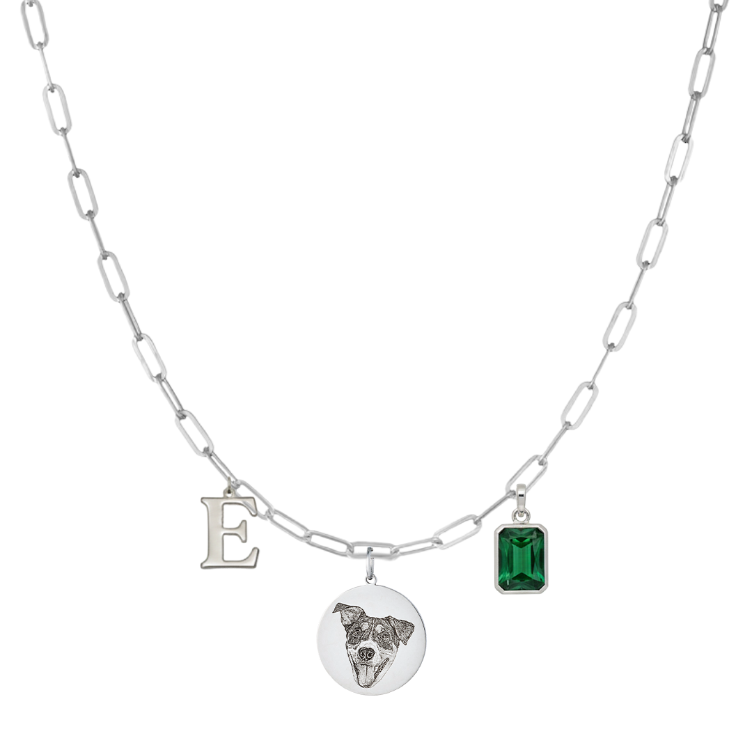 SilverPaperclipEngravedPetMedallionCharm2