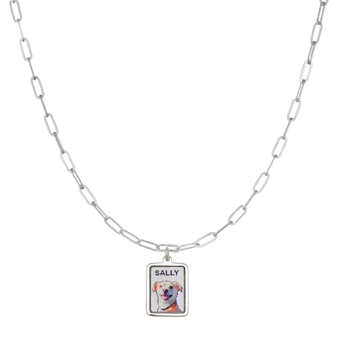 SilverPaperclipPetPortraitCharm