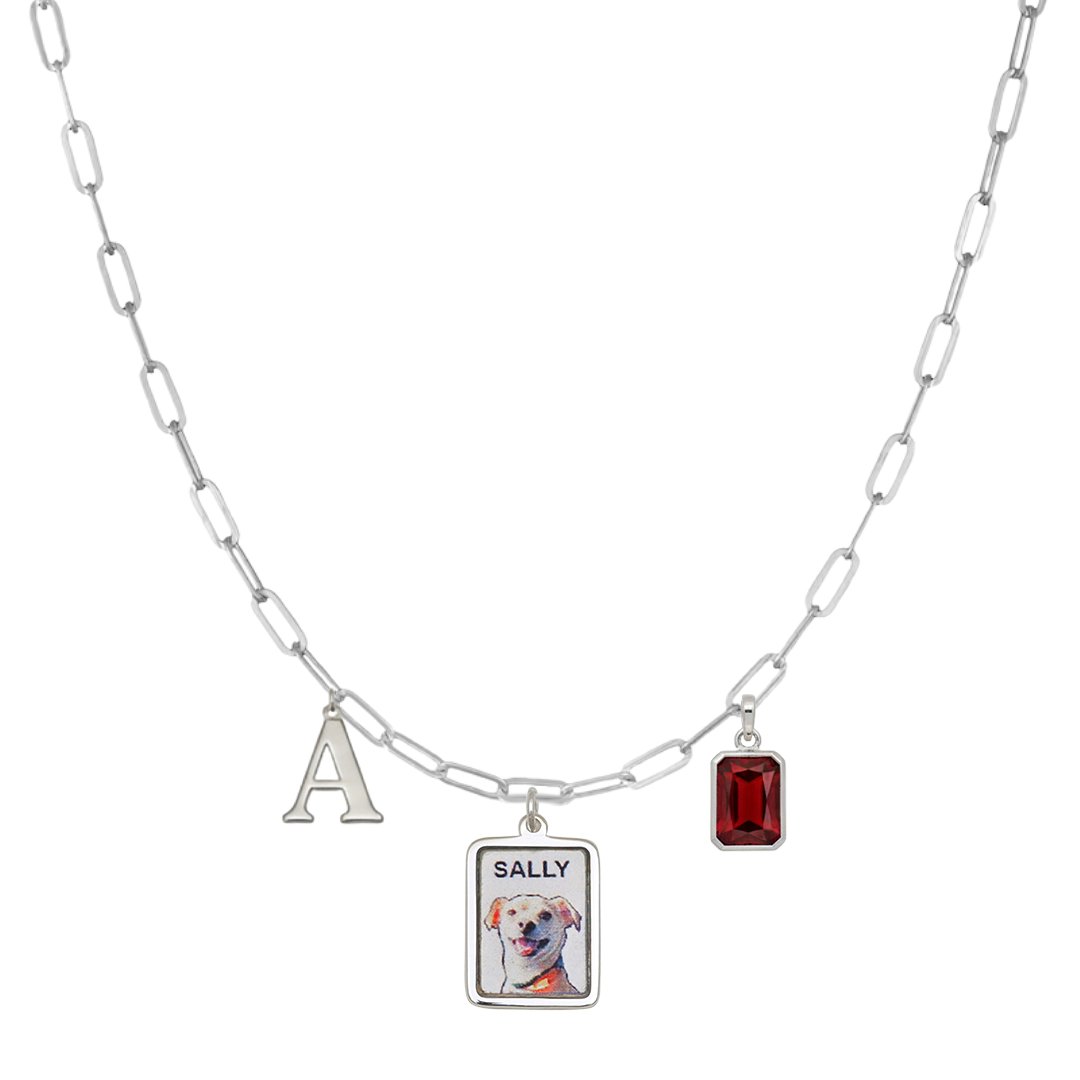 SilverPaperclipPetPortraitCharm2