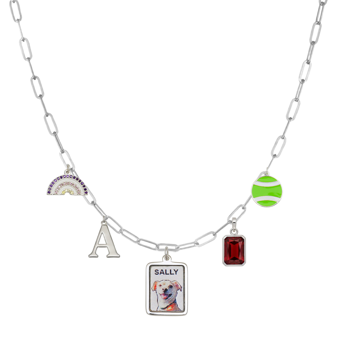 SilverPaperclipPetPortraitCharm4