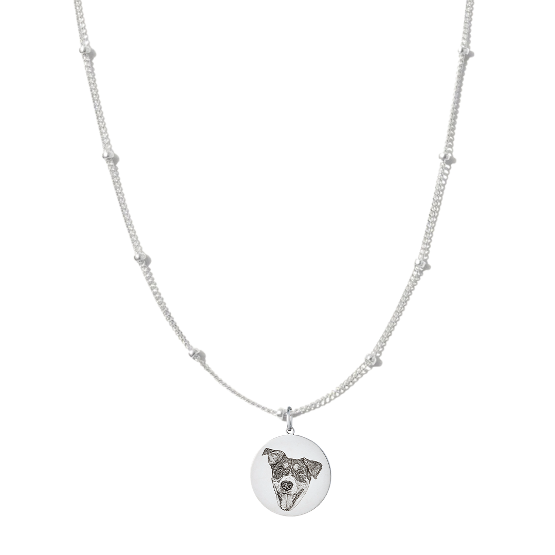 SilverSatelliteEngravedPetMedallionCharm
