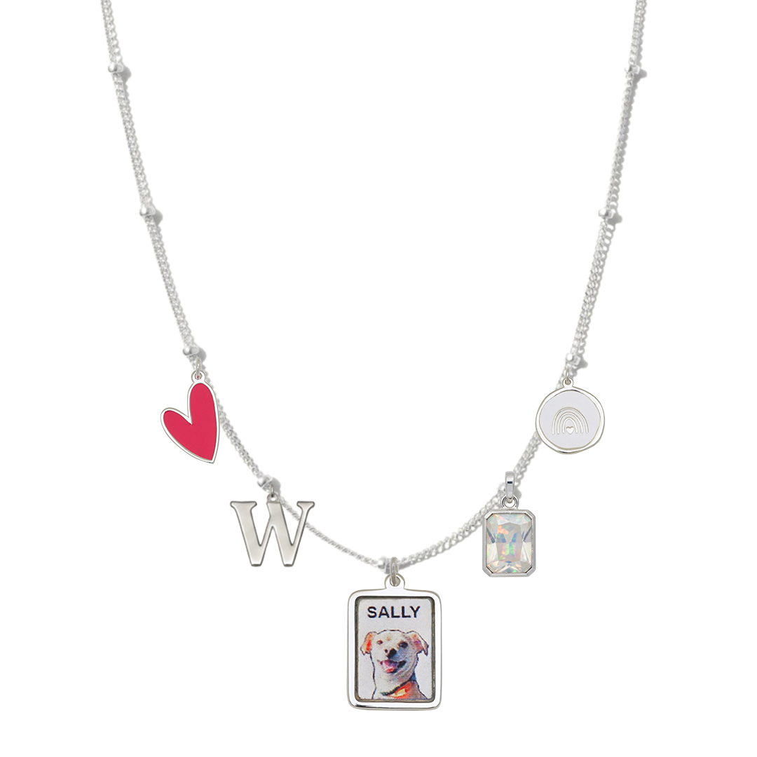 SilverSatellitePetPortraitCharm4