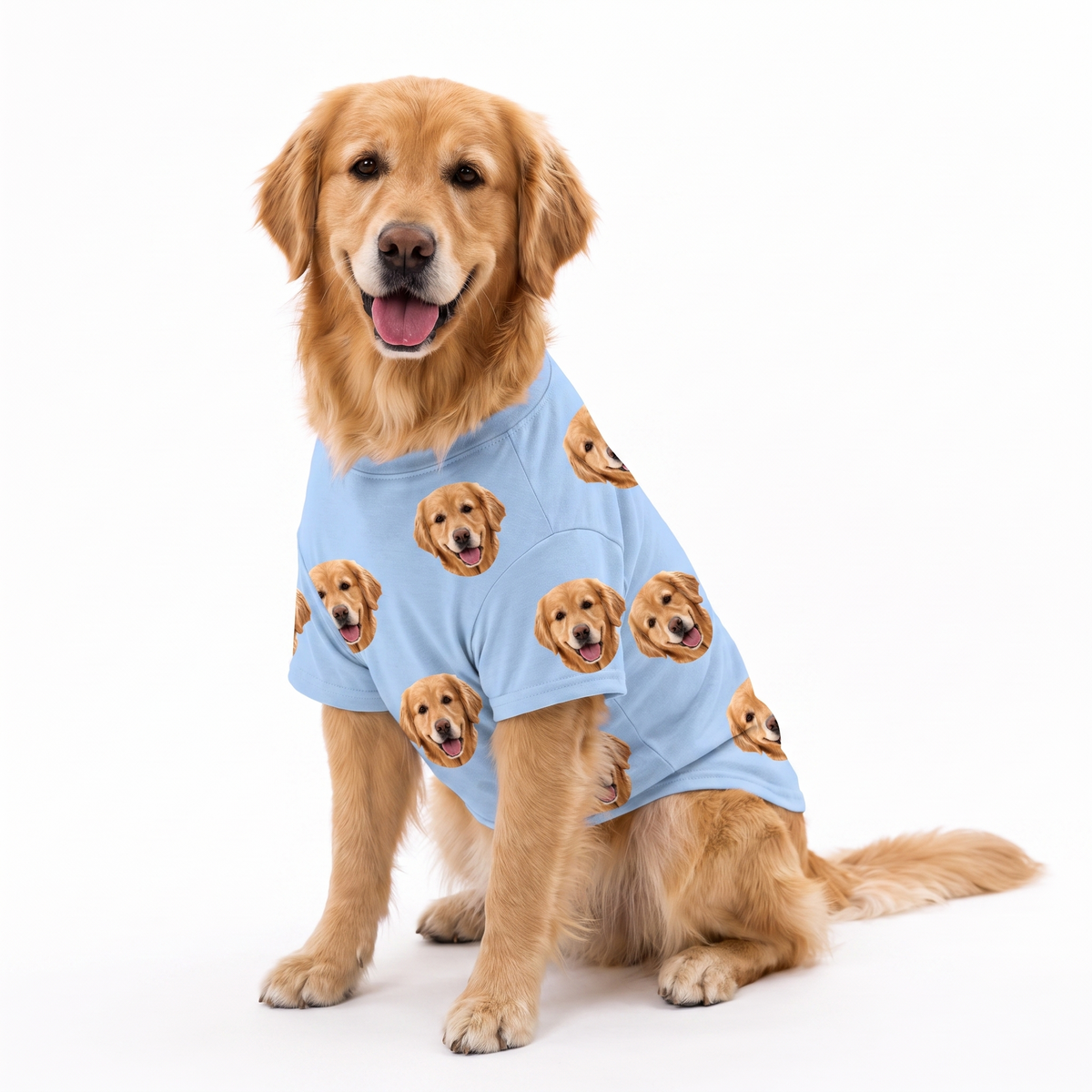 Golden retriever wearing a sky blue custom dog shirt with a repeating dog face pattern on a white studio background.