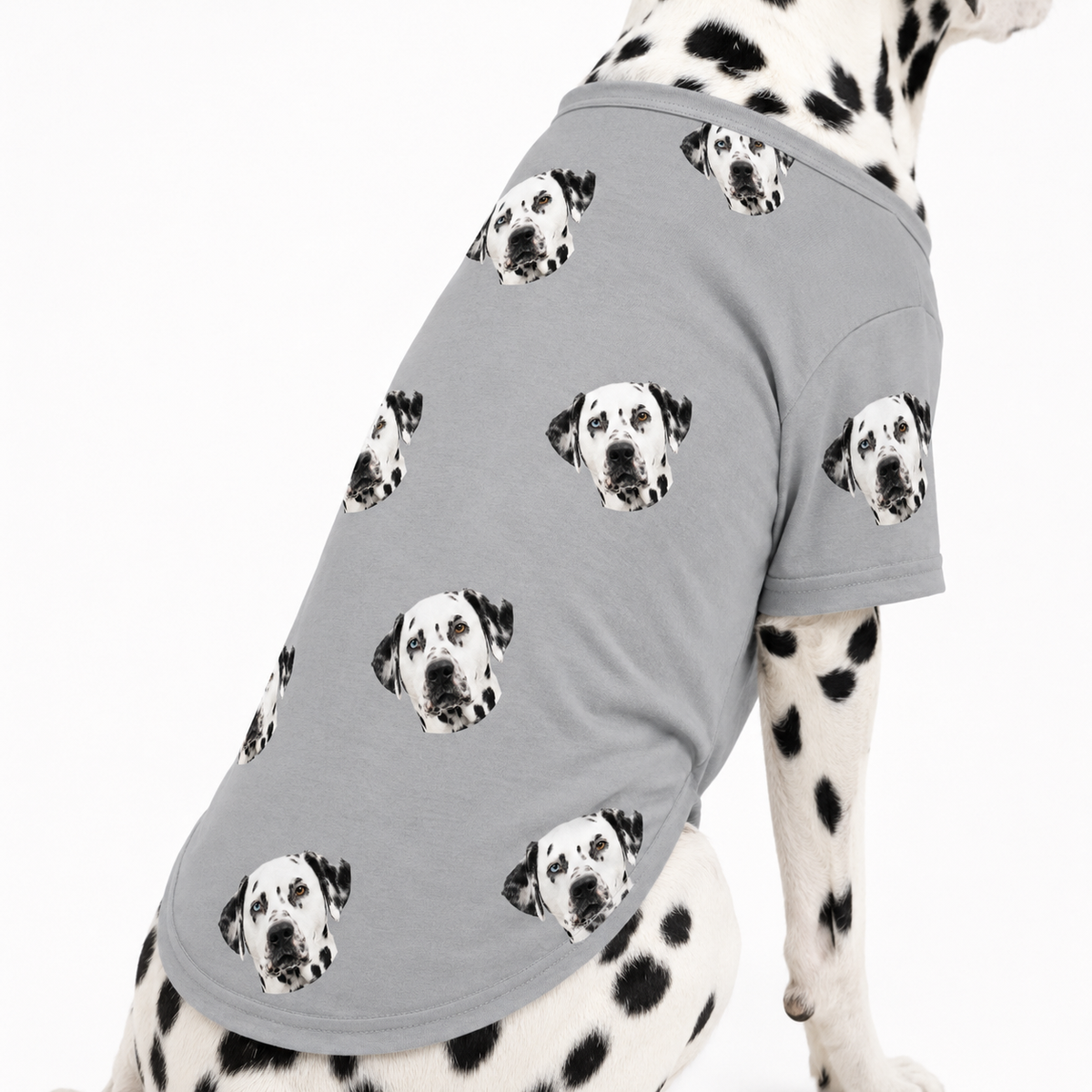 Dalmatian wearing a gray custom dog shirt with a repeating dog face pattern on a white studio background.