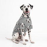 Custom Dog Pajamas