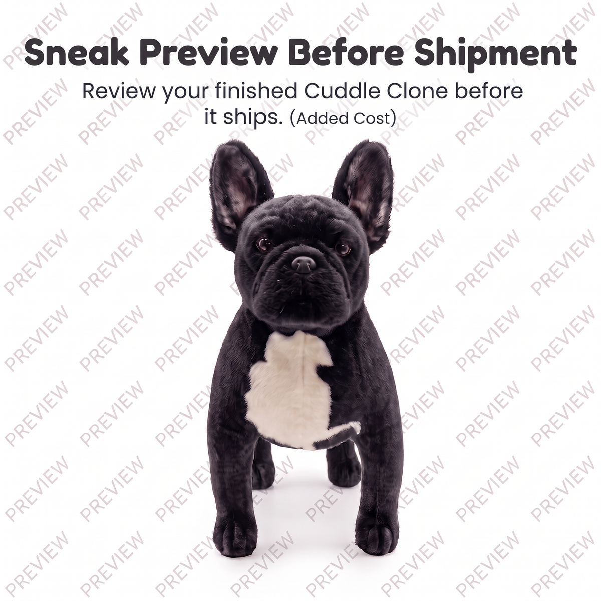A black French bulldog plush toy with a white chest patch stands against a white background with repeated 'PREVIEW' watermarks and text reading 'Sneak Preview Before Shipment' and 'Review your finished Cuddle Clone before it ships. (Added Cost)'.