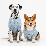 Two dogs wearing matching light blue holiday-themed dog shirts with a snowman and dog print, posed against a clean white studio background.